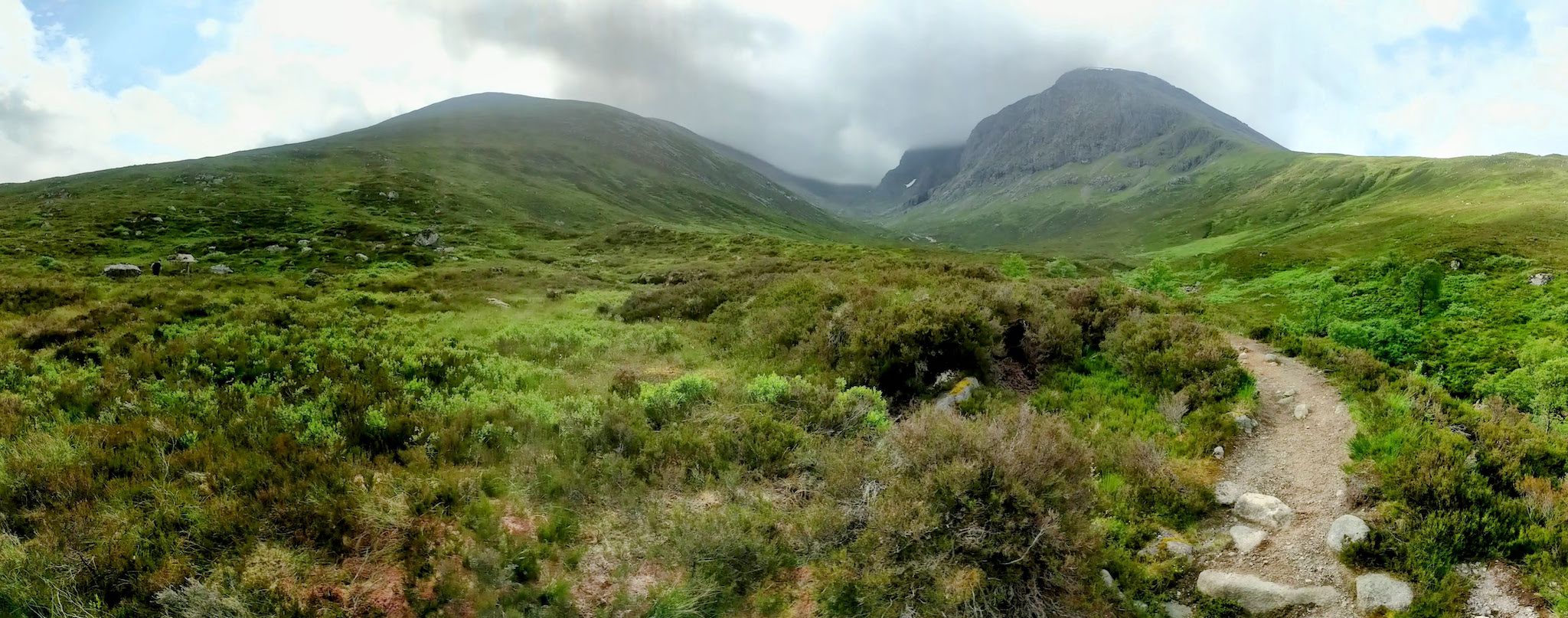 Ben Nevis North Face trail