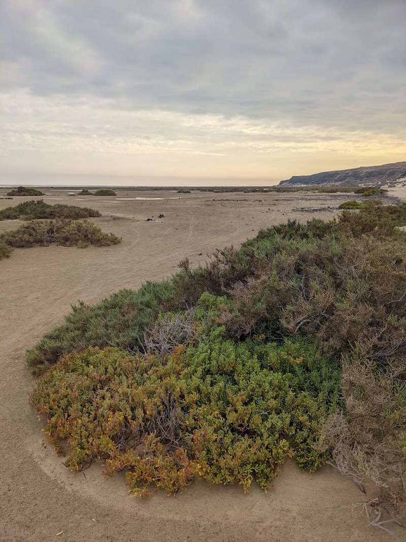 Tidal area near Sotavento