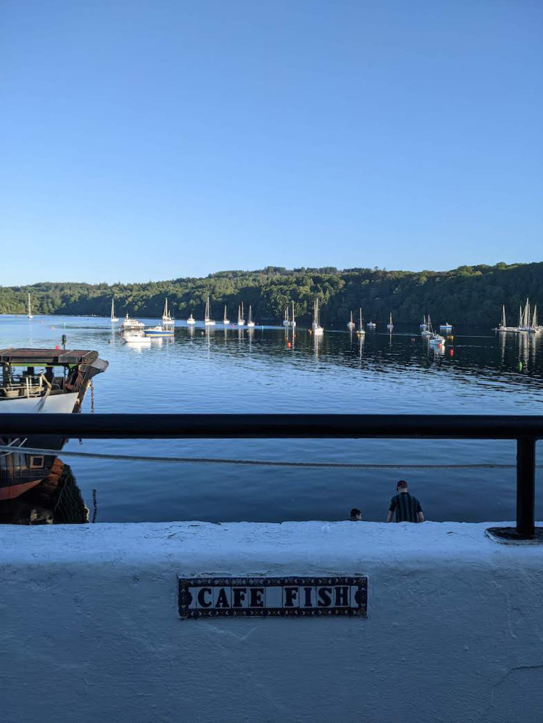 View over Tobermory harbour from Cafe Fish