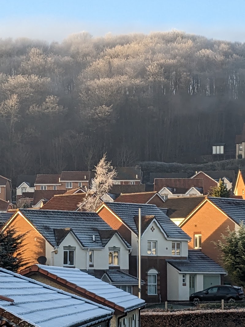 Haar over frozen woods