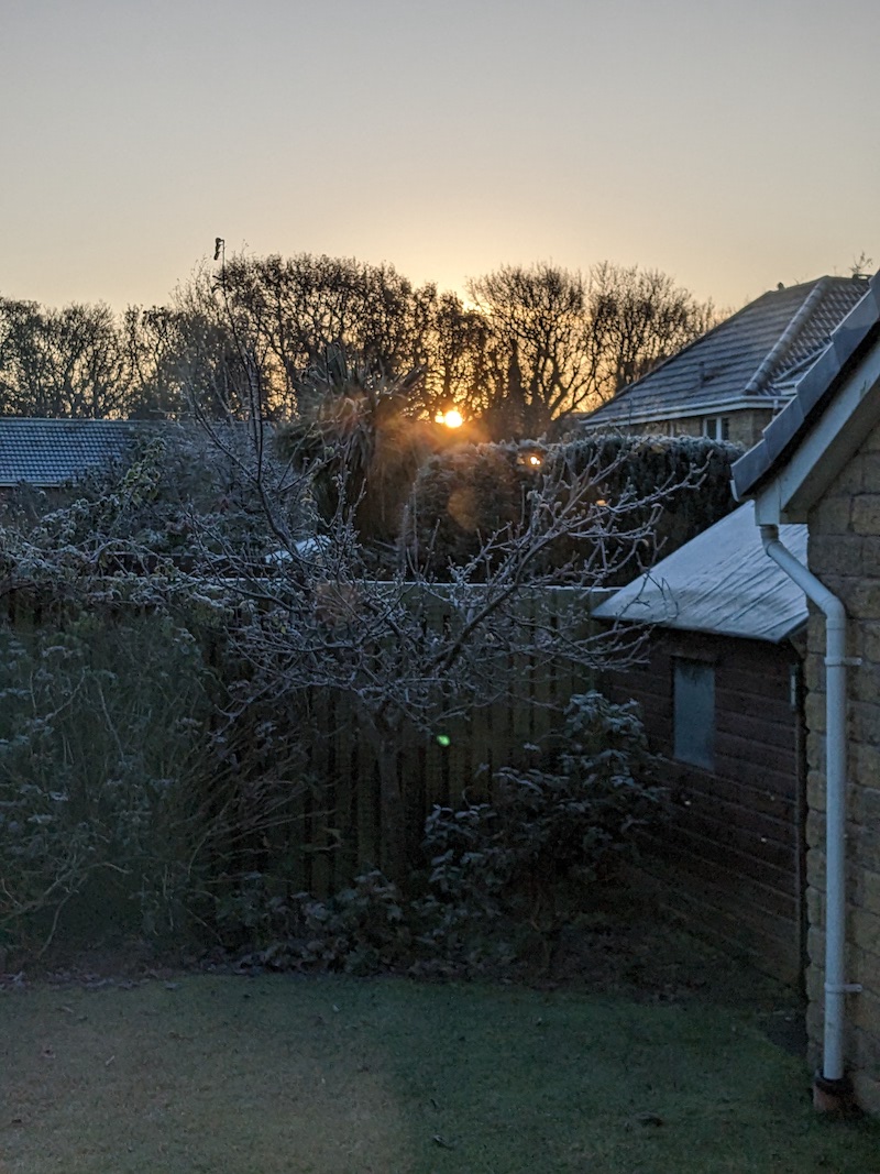 Sunrise through the branches of a frosty tree