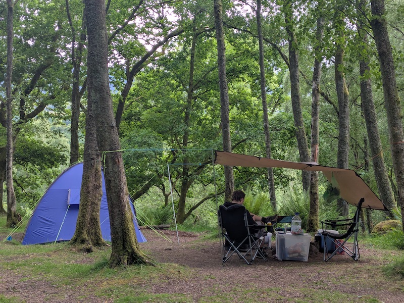 Woodland campsite