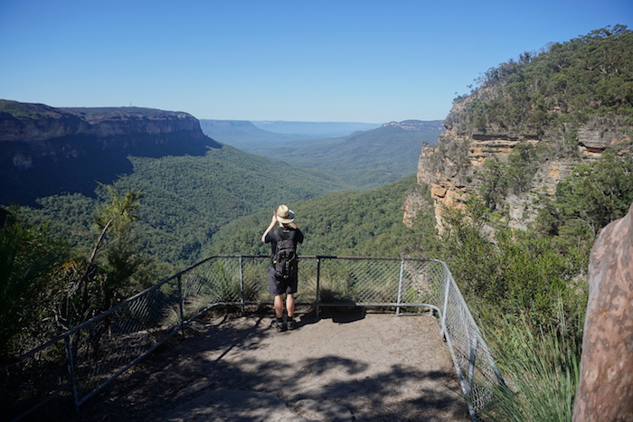 Blue Mountains view