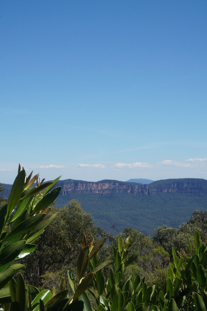 Mt Solitary, Blue Mountains