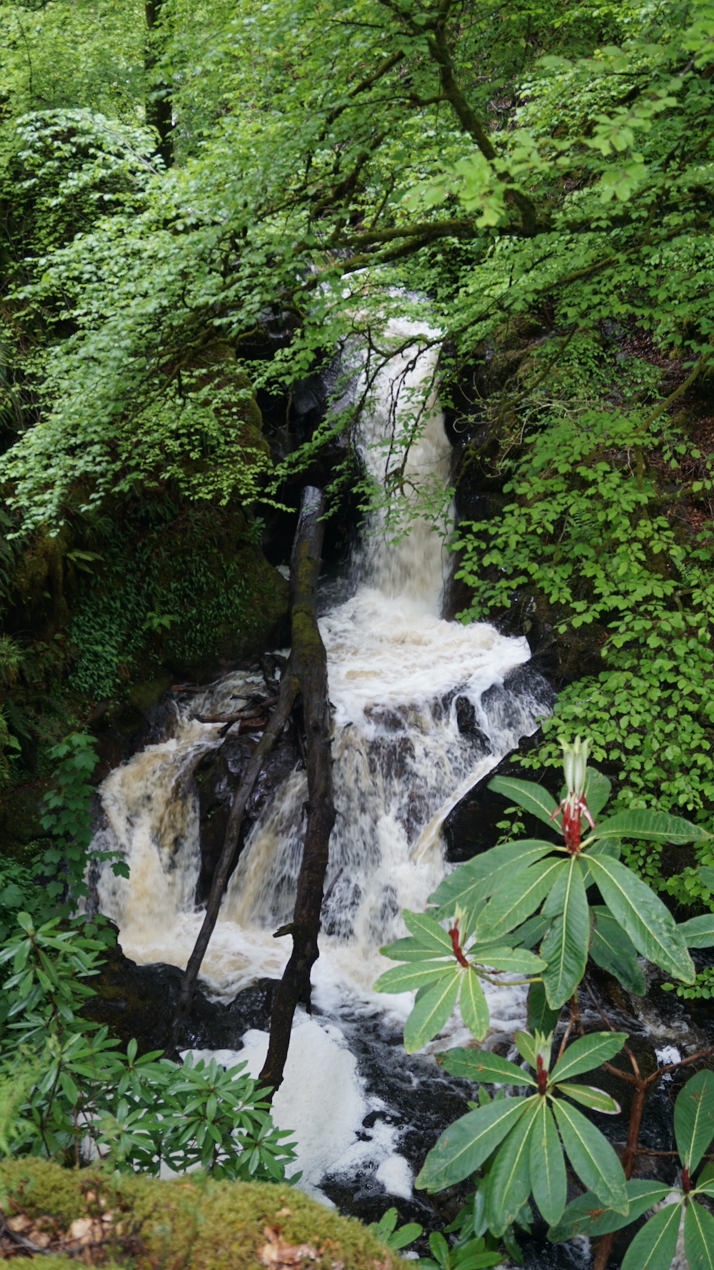 Arran waterfalls