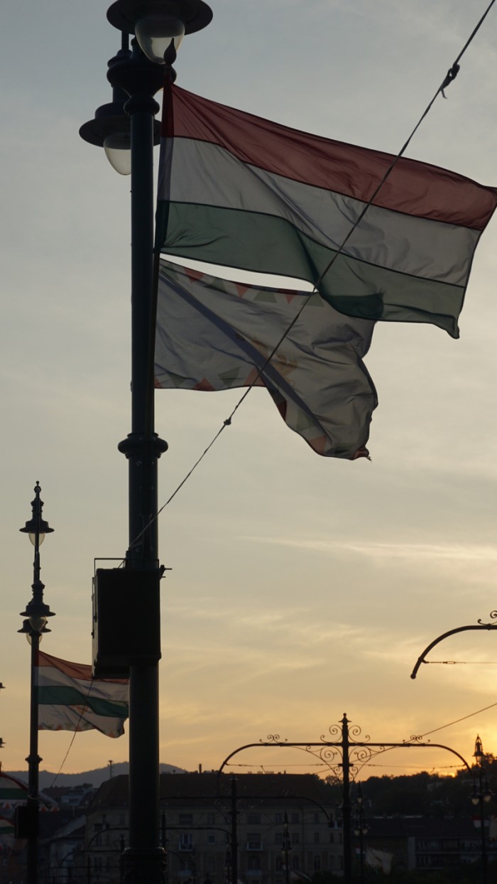 Flags in sunset