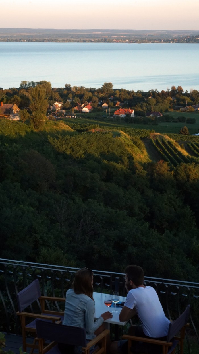 View from Laposa Vinyards