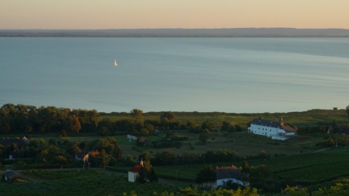 Sunset sails over Lake Balaton