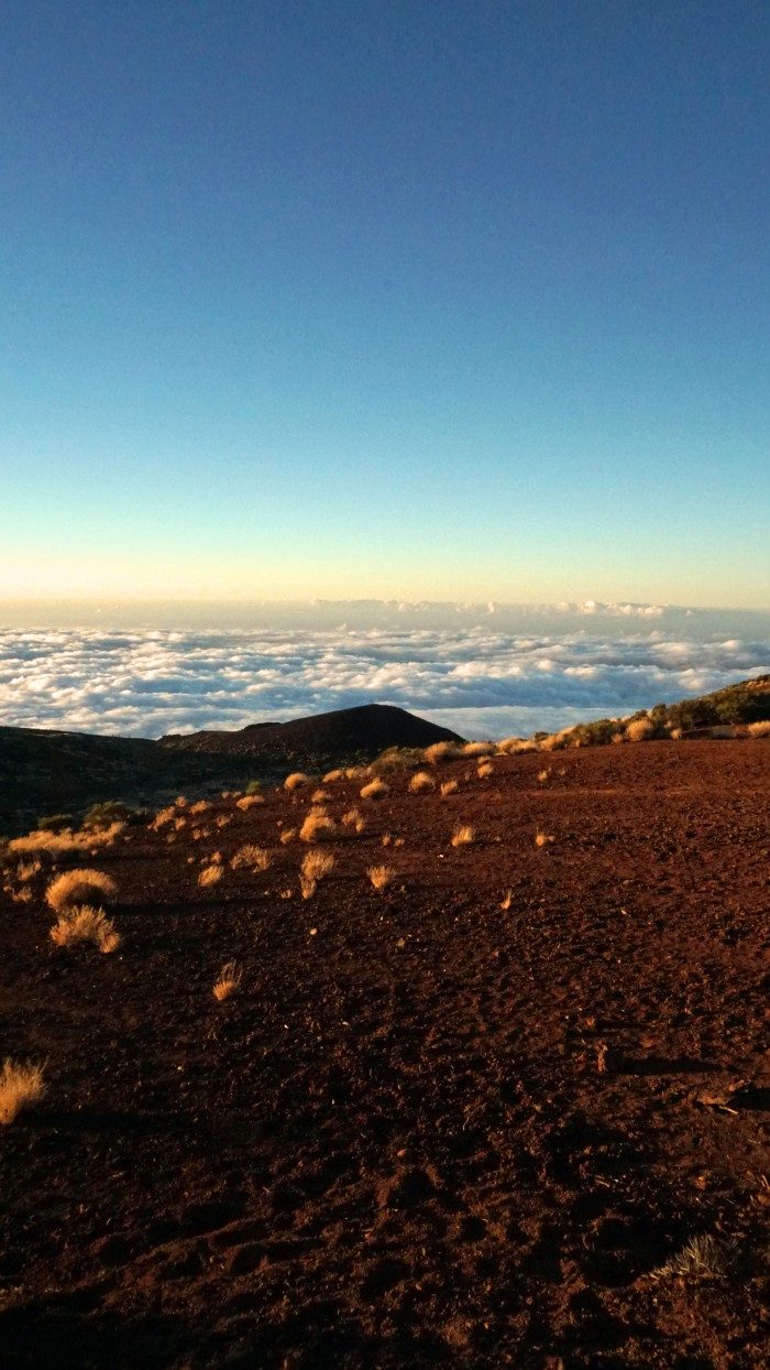 Teide National Park landscape