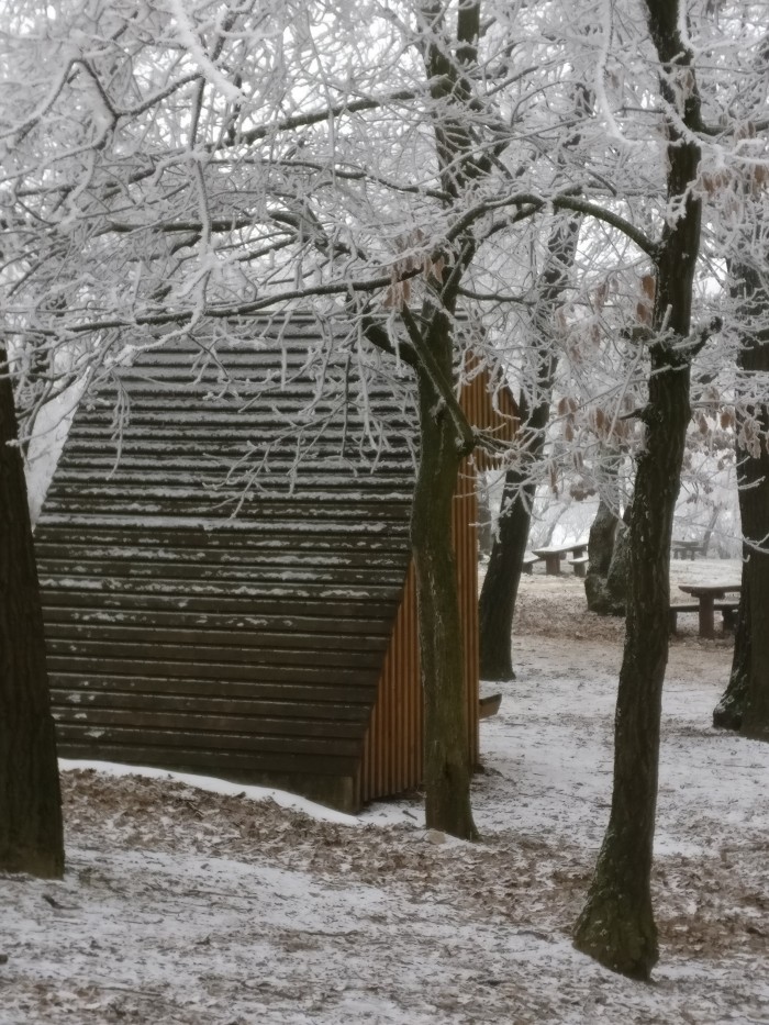 A wooden A-frame shelter in a forest covered by hoar frost