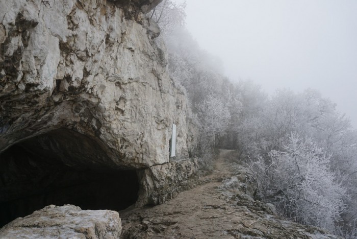 A cave mouth in the foggy forest