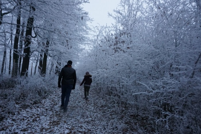 Evening is falling in frosty woodlands, with two figures walking